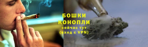 дурь Горняк