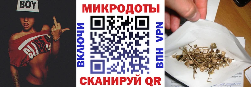 Купить  Новая Усмань  Псилоцибиновые грибы Psilocybe 